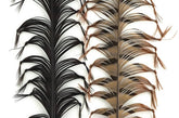 Tof Pattes Insectes - casapintat - TOF